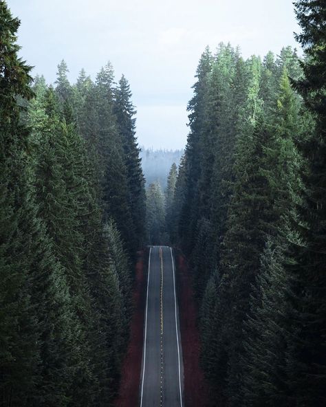 ROAM THE PLANET on Instagram: “Photos by @masonstrehl | One of many photogenic straight roads in #Oregon state. This place is too easy for epic photos 😍 Share your story:…” Oregon Aesthetic, Oregon Life, Oregon Living, Oregon Road Trip, Epic Photos, Eugene Oregon, University Of Oregon, Oregon Travel, Wild Nature