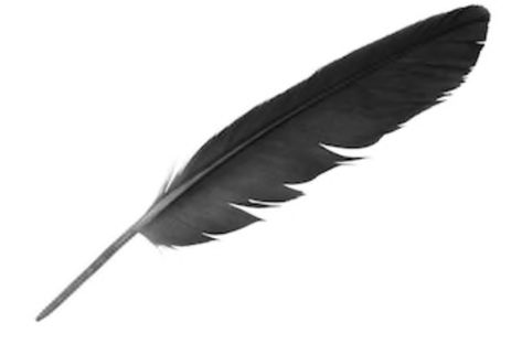 Alpha Texture, Cod Oc, Crow Feathers, Drawing Subjects, Raven Feathers, Types Of Feathers, Crow Feather, Raven Feather, Tattoo Thoughts