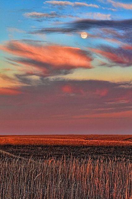 Kansas Landscape, Prairie Landscape, Landscape Mural, Tallgrass Prairie, Flint Hills, Mural Ideas, Good Night Moon, Beautiful Sights, Sky And Clouds