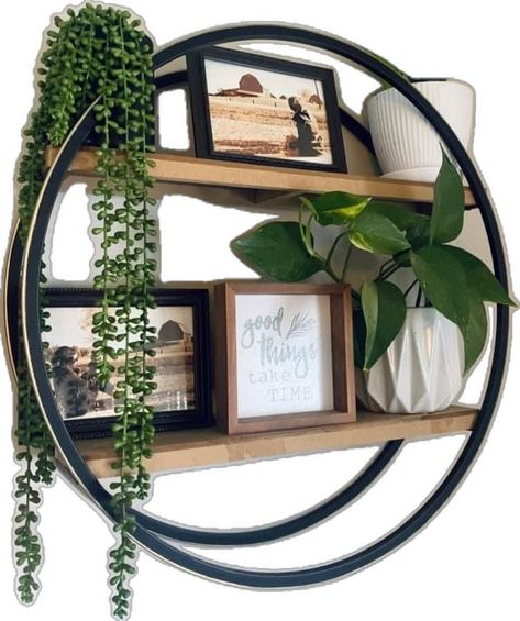 Wall Plants Bathroom, Round Shelves, Plants Bathroom, Lemonade Decor, Wall Plants, Picture Shelf, Curtains Living Room Modern, Bathroom Shelf Decor, Condo Ideas