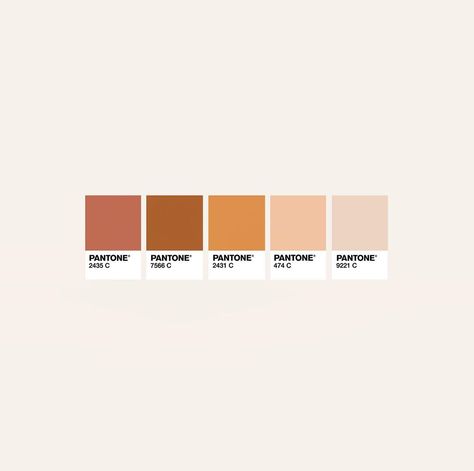 M. Design Co | Graphic Design on Instagram: “Today’s warm and toasty palette is inspired by my several coffees today 🙊On a scale of caramel latte to chai latte, what shade are you…” Chai Color Palette, Chai And Parle G, Cinnamon Girl Color Palette, Chai Ingredients Illustration, Masala Chai Tiramisu, Coffee Today, M Design, Caramel Latte, Palette Inspiration