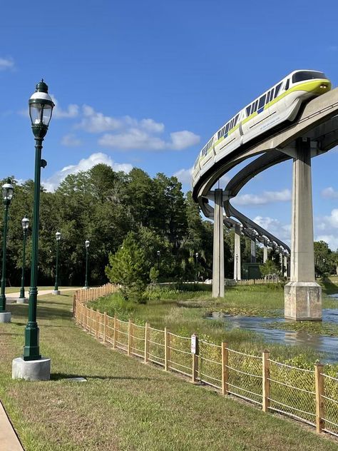 The Zoo Miami Zoofari Monorail has been transporting visitors around the park for over four decades Zoo Miami’s monorail, also known as the Zoofari, was decommissioned this week after over four decades of functioning in the community. This week, the monorail officially took its final ride after transporting over a million people through the park. It’s a significant moment in the history of the community, given how much of a favorite the monorail was for zoo-goers. A brief history of the Z... Zoo Miami, Cycling Touring, Tear Down, The Zoo, Miami Dolphins, New England Patriots, Marina Bay Sands, The Community, The Park