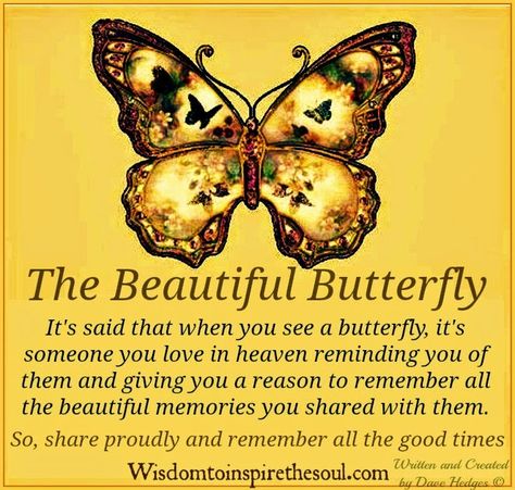 Wisdom To Inspire The Soul: The Beautiful Butterfly. Butterfly Poems, Butterfly Meaning, On The Wings Of Love, Butterfly Quotes, Yellow Butterfly, Memories Quotes, Mellow Yellow, A Butterfly, Beautiful Butterflies