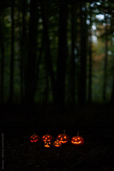 Scary Halloween Pumpkins in the Forest at Dusk by Mosuno Scary Halloween Pumpkins, Halloween Decor Diy, Psy Art, Halloween Tags, Halloween Wallpaper Iphone, Season Of The Witch, Spooky Scary, Halloween Photos, Wow Art