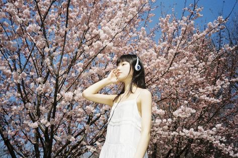 Cherry Blossom Photoshoot, Blossom Photoshoot, Japan Aesthetic, How To Pose, My Vibe, Cherry Blossom, Headphones, Blossom, Japan