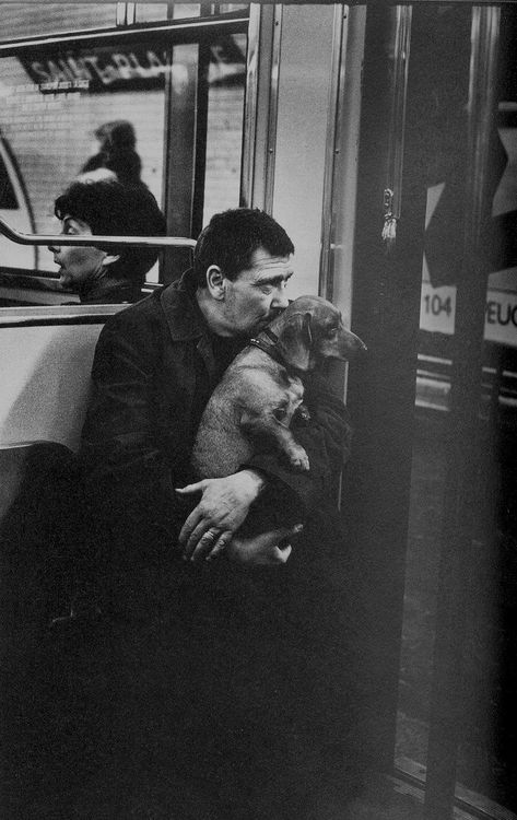 Metro Paris, Paris Metro, Foto Tips, Dachshund Love, Appaloosa, Human Condition, Vintage Dog, Quarter Horse, Black White Photos