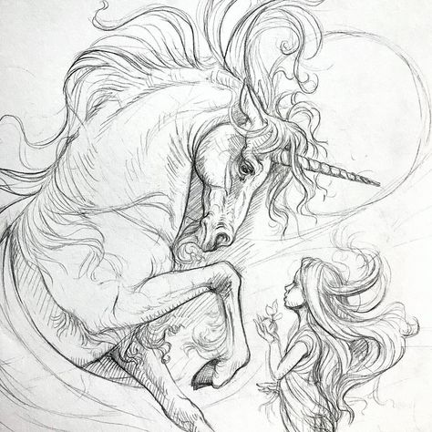 Unicorn Realistic Drawing, Horse Tattoo Sketch, Shire Horse Drawing, Unicorn Drawing Sketches, Horse Outline Drawing, Horse Drawing Reference, Unicorn Line Art, Horse Drawing Ideas, Unicorn Reference