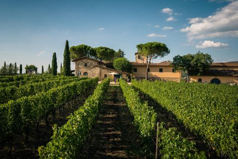 Booking.com: Farm Stay Viticcio , Greve in Chianti, Italy - 237 Guest reviews . Book your hotel now! Italian Farm, Tuscany Vineyard, Greve In Chianti, Italian Farmhouse, Italy Villa, Tuscany Villa, Toscana Italia, Vacation Villas, Farm Stay