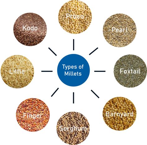 Types And Benefits Of Millets – NutritionFact.in Benefits Of Millets, Millet Benefits, Food Background Wallpapers, Pearl Millet, Candida Diet Recipes, Millet Recipes, Nutrition Activities, Candida Diet, Gluten Free Grains