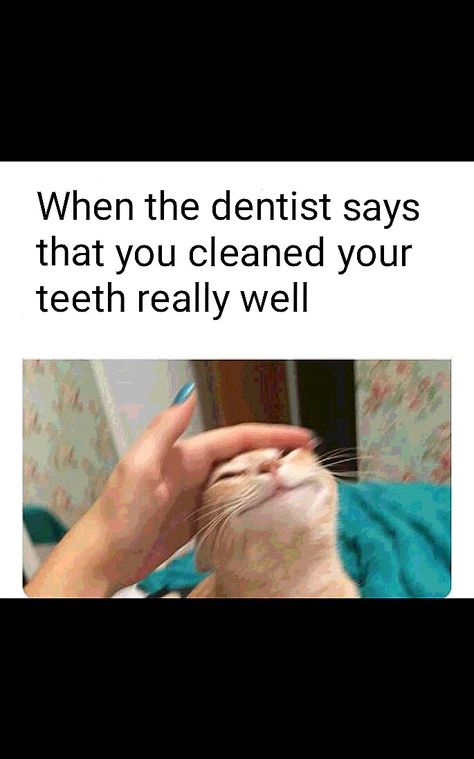 Funny Dental Memes Humor, Super Funny Memes, Dental Memes Humor Truths, Clean Memes, Fish Memes Hilarious, Pet Memes Humor, Clean Humor, Laughing So Hard, Really Funny Memes