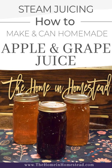 Steam Juicing & Canning Homemade Apple & Grape Juice Canning White Grape Juice, Juice Steamer Recipes, Steam Juicer Recipes Canning, Steam Juicer Recipes, Diy Apple Juice, Canning Apple Juice, Canning Juice, Homemade Juice Recipes, Cranberry Grape Juice