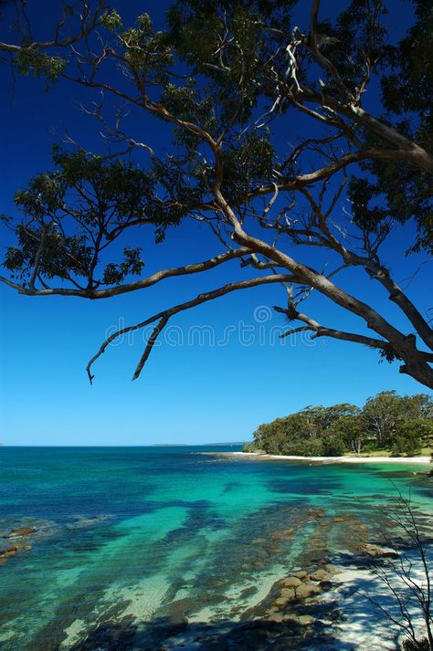 Huskisson beach at Jervis bay. The whitiest sands, clear water. Holiday resort , #Affiliate, #bay, #whitiest, #Jervis, #Huskisson, #beach #ad Jervis Bay Australia, Australia Camping, Camping Australia, South Coast Nsw, Jervis Bay, Australian Beach, Australian Travel, Tasmania Australia, Holiday Resort