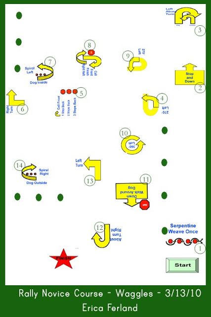 Rally Obedience Course Map Dog Rally Courses, Dog Training Planner Free, Balanced Dog Training, Rally Obedience, Dog Training Obedience Teaching, Dog Recall Training, K9 Training, Course Design, Dog Training Books