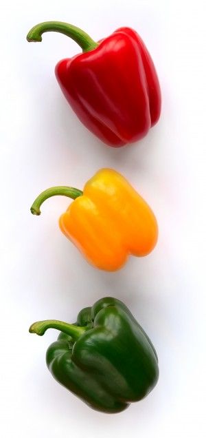 Mexican Stuffed Peppers, Capsicum Annuum, Yellow Pepper, Pepper Seeds, Science Fair Projects, Healthy Vegetables, Folic Acid, Red Bell Pepper, Science Fair