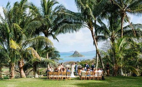 Modern-Elopement-Absolutely-Loved-Paliku Paliku Gardens, Hawaiian Weddings, Oahu Wedding Venues, Modern Elopement, Wedding Venues Hawaii, Kualoa Ranch, Hawaii Destinations, Hawaii Destination Wedding, Tiered Garden