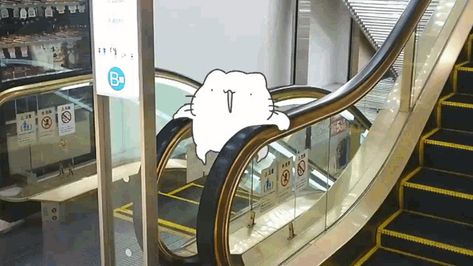 Karameru Escalater GIF - Karameru Escalater Looping - Discover & Share GIFs Loop Gif, Anime Streetwear, Gif Photo, Funny Cartoon Gifs, Aesthetic Gif, Cute Wallpaper Backgrounds, Cute Anime Pics, Really Funny Pictures, Cute Gif