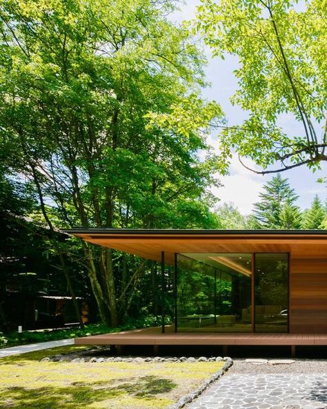 Homes In The Forest, Kidosaki Architects, Home In The Woods, Timber Home, Architects Studio, Karuizawa, Nature Architecture, Outside Patio, Green Architecture