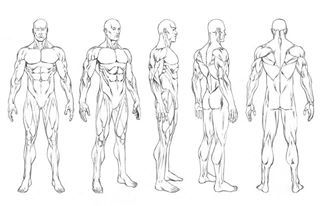 FRONT/ BACK  CLOTHED NORM Character Design Male Turn Around, Character Turn Around Template, Body Turn Around Drawing, Male Body Turnaround, Character Design Template Art, Human Turnaround, Character Turnaround Template, Character Body Reference, Character Turnaround Male