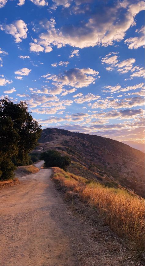 Nature Trails, Hiking Vision Board, Calming Nature Aesthetic, Hikes Aesthetic, Mountain Morning Aesthetic, Running Trail Aesthetic, Summer Hiking Aesthetic, Trail Running Aesthetic, California Hiking Aesthetic