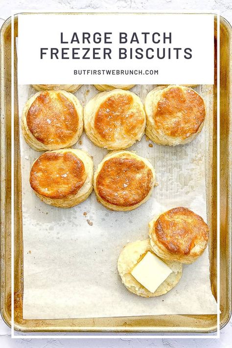 Freezer Buttermilk Biscuits, Lunch Biscuit Ideas, Biscuits For Breakfast Sandwiches, Freezable Biscuits, Large Batch Biscuits, Large Batch Biscuit Recipe, Large Batch Recipes, Large Batch Baking, Large Batch Bread Recipes