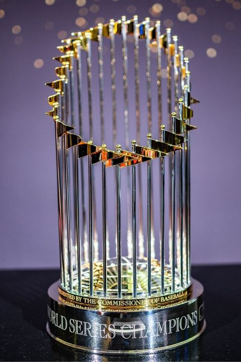 World Series Glory: 10 Recent MLB Champions [2023 Update] Mlb Baseball Players, Veterans Day Celebration, Dodgers Win, Astros World Series, Mlb Team Logos, Mlb World Series, Cody Bellinger, One Championship, Dodgers Baseball