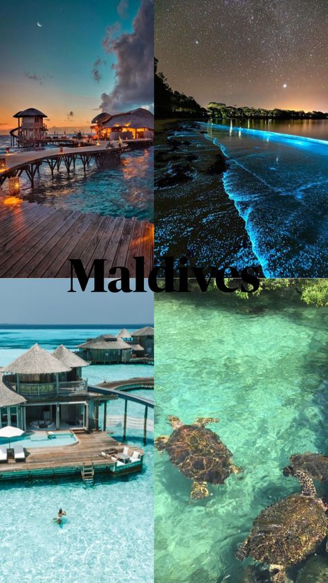 Maldives #maldives #aesthetic #nature Honeymoon Aesthetic, Maldives Aesthetic, Honeymoon Vibes, Maldives Honeymoon, Holiday Travel Destinations, Dream Honeymoon, Luxury Honeymoon, Beach Honeymoon, Travel Inspiration Destinations