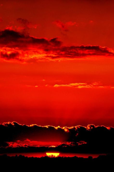 expression-venusia:  . dazzling expression Söt Katt, Red Sunset, Amazing Sunsets, Red And Orange, Red Sky, Beautiful Sunrise, Absinthe, Blood Red, Beautiful Sky