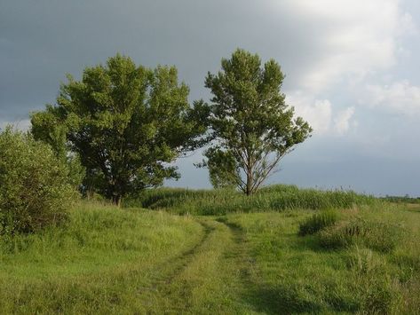 Countryside Landscape Photography, Farm Photography Landscape, Rural Landscape Photography, Country Life Photography, Rural America Photography, Field Surrounded By Trees, Landscape References, Air Image, Farm Photo