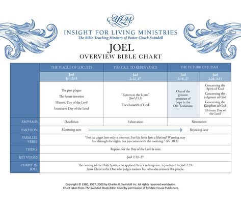 Book of Joel Overview - Insight for Living Ministries Joel Bible Study, Joel Bible, Are We Dating, Joel 2, Paper Bag Books, Bible In A Year, Book Of Revelation, Book Report, Bible Teachings