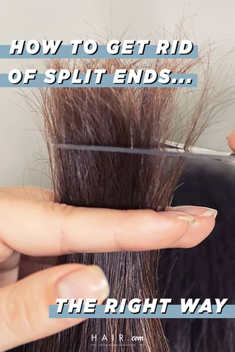 Damaged Ends Repair, Repairing Split Ends, Haircuts For Split Ends, Trim Own Hair Split Ends, How To Help Split Ends, Haircuts To Fix Damaged Hair, Split Ends Repair Homemade, How To Trim Dead Ends At Home, Trim Hair At Home Split Ends