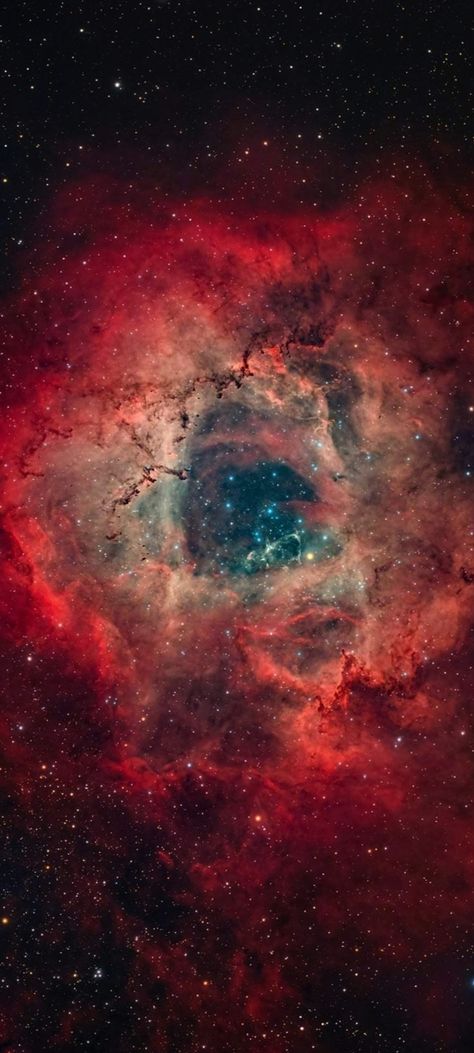 Rosette Nebula Wallpaper, Rosette Nebula, Space Things, Galaxy Aesthetic, Nebula Wallpaper, Beautiful Universe, Outer Space Art, Galaxies Wallpaper, Amoled Wallpapers