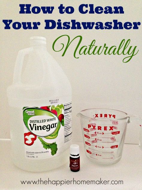 How to Clean Your Dishwasher Naturally Clean Your Dishwasher, Cleaning Your Dishwasher, Dishwasher Cleaner, Cleaning Painted Walls, Glass Cooktop, Deep Cleaning Tips, Clean Dishwasher, Toilet Cleaning, Natural Home Decor