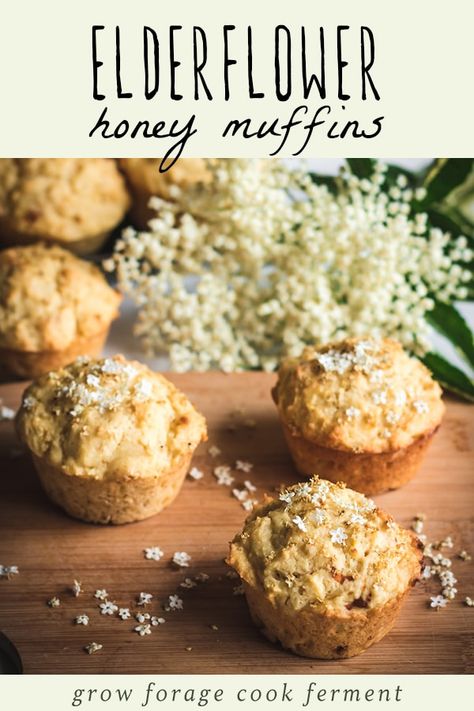 Make these delicious wildcrafted elderflower honey muffins when fresh elderflowers are in season! They aren't too sweet and are made with honey and a bit of optional sourdough starter. Muffins Made With Honey, Honey Muffins Recipe, Honey Sourdough, Cutest Cupcakes, Elderflower Recipes, Flowers Recipes, Homestead Cooking, Morning Muffins, Honey Muffins