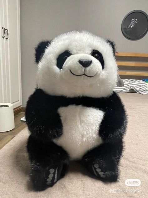 Panda Plushie, Panda Stuffed Animal, Stuff Toys, Big Teddy, I Wan, Animal Icon, Bear Pictures, Cute Stuffed Animals, Cute Panda