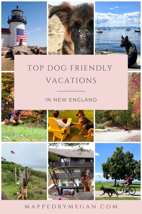 Dog Friendly New Hampshire, Best Dog Friendly Vacations, Dog Friendly New England, Dog Friendly Vacation East Coast, Dog Friendly Travel, Dog Friendly Vacation Spots, Dog Friendly Road Trip, Farm Vacation, Road Trip With Dog