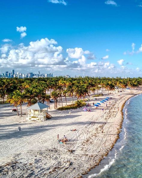 Miami skyline views from Crandon Park on Key Biscayne Tap to the Guides tab on our profile page to see Miamis best beaches @themiamiguide Whats your favorite beach?! @ponticelli #miamiguide #instagramguide #miamivibes #miamilove #miamicity #visitmiami #welcometomiami #miamiflorida #miamilovers #exploremiami #thisismiami #foundinmiami #miamilife #miamibeach #miamibeachlife #crandonpark #keybiscayne Crandon Park, Miami Skyline, Miami City, Miami Life, Instagram Guide, Key Biscayne, Skyline View, Magic City, Best Beaches