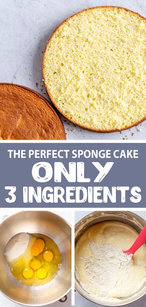 Basic Ingredients For Cake, 3 Ingredient Sponge Cake Recipe, Easy Cake Icing 3 Ingredients, Box Cake Mix Into Sponge Cake, Small Sponge Cake, Recipe For Cakes Homemade, Few Ingredient Cake Recipes, Flour Less Cake, Spongy Vanilla Cake Recipe