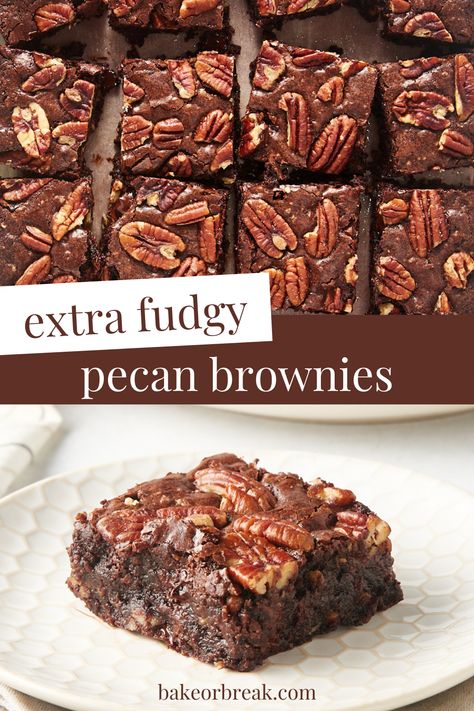 Pecan Lovers' Brownies are the ultimate nutty brownie. Just one bite of these fudgy, nutty brownies, and you'll never want a plain brownie again! Brownie With Nuts Recipes, Nutty Brownies, Brownies With Pecans, Pecan Brownies Recipe, Hot Fudge Pie, Chewy Brownies Recipe, Pecan Brownies, Fudge Brownie Recipe, Chocolate Cobbler