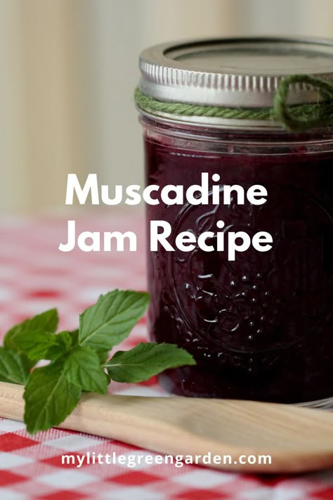 Muscadine Canning Recipes, Muscadines Recipe, Muscadine Jelly Recipe Small Batch, Muscadine Jam Recipe, Muscadine Wine Recipes Homemade, Muscadine Preserves Recipe, Muscidime Jelly, Muscadine Jelly Recipe Without Pectin, Muscadine Grapes Recipes