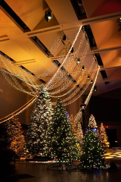 Christmas Banquet Hall Decorations, Christmas Lights Stage Design, Christmas Church Stage Backdrop, Modern Christmas Stage Design, Christmas Tree Stage Design, Xmas Stage Decoration, Church Christmas Backdrop Ideas, Christmas Concert Stage Design, Church Stage Christmas Decorations