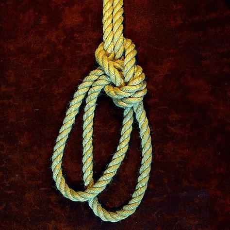 Someone Pulling A Rope, Lead Rope Knots, Rope Ladder Knot, Self Tie Rope Harness, Horse Neck Rope, Decorative Knots, Hanging Rope, Useful Life Hacks, Just For Laughs Videos