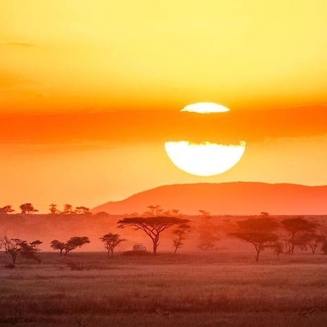 A famous African Sunset in the Serengeti by @anthonysodd #HereIsTanzania South African Sunset, Safari Aesthetic, Africa Sunset, Prayer Pictures, African Literature, African Skies, African Sunset, African Theme, Visit Africa