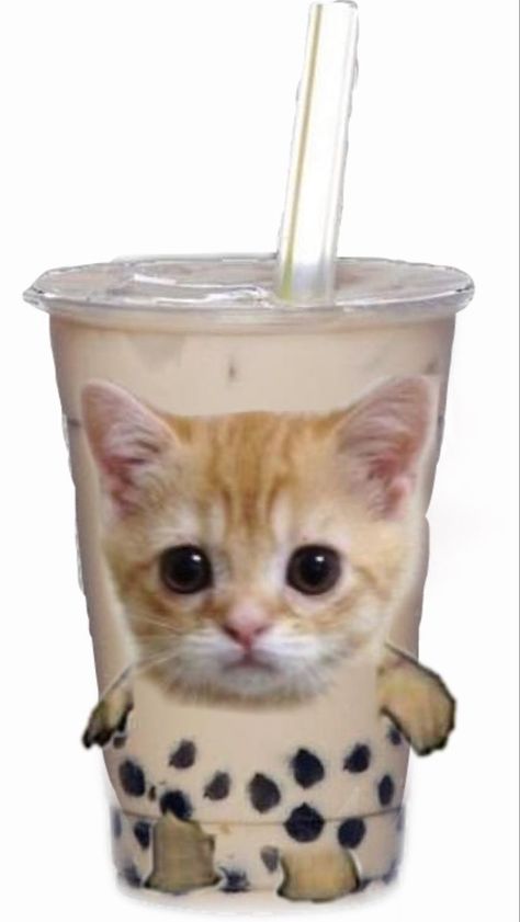 I found this on google so however found this please know I’m crediting them! Hope you enjoy the rest of the profile or pins! Matching Pfp Boba Tea, Boba Cat Wallpaper, Boba Memes Funny, Cat Cafe Wallpaper, Banana Cat Pfp, Cute Boba Wallpaper, Kawaii Boba Wallpaper, Boba Tea Aesthetic Wallpaper, Banana Cat Wallpaper