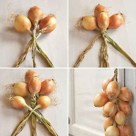 Why You Should Braid Your Onions Like a Pioneer Woman | Kitchn Woman Tips, Vegetable Storage, Garden Harvest, Veg Garden, Have Inspiration, Garden Edging, Food Garden, Veggie Garden, Growing Food