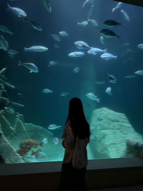 #aquarium #fishes #aesthetic #faceless #noface #poses #instagram #picture #pinterest Faceless Photo Poses, Insta Photo Ideas Faceless, Faceless Ig Story, Instagram Faceless Picture Ideas, Faceless Photoshoot Ideas, Faceless Pics Aesthetic For Insta, Faceless Insta Pfp Ideas, Fake Insta Story Faceless, Aesthetic Pictures Faceless