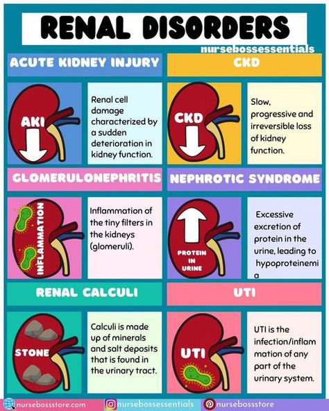 Pathophysiology Nursing, Nursing School Studying Cheat Sheets, Nursing School Essential, Nursing Study Guide, Medical School Life, Nursing School Motivation, Nurse Study Notes, Nursing Mnemonics, Nursing Student Tips