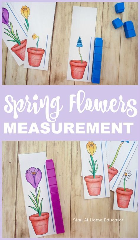 A hands on flower themed measurement printable for preschoolers. This is fantastic for math centers or small group work in the Spring for preschoolers. Free spring theme printable for preschoolers. Teach measurement in preschool with free printable flower height measurement cards. Perfect for gardening theme, flowers theme, or insect theme. Flower Art For Preschool, Kindergarten Spring Centers, Spring For Preschoolers, Spring Math Centers Kindergarten, Centers Organization, Spring Lesson Plans, April Preschool, Centers Preschool, Spring Theme Preschool