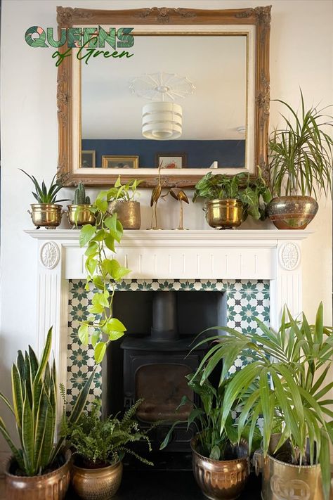 Vintage brass plant pots with plants around a mantle piece Vintage Home Decor Ideas, Brass Planters, Thrift Decor, Mid Century Eclectic, Planters For Sale, Brass Pot, Brass Planter, Mid Century Ceramics, Decorative Planters