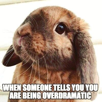 Am I being overdramatic? #rabbit #bunny #bunnies #cuteanimals #pet Floppy Eared Bunny, Adorable Bunnies, Fluffy Bunny, Pet Bunny, Little Critter, Funny Bunnies, Bunny Ears, Baby Bunnies, Cute Animal Pictures