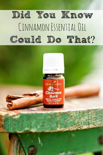 Cinnamon Oil can be used to increase brain activity, help you to lose weight and even repel ants! Learn more about the many uses for cinnamon oil! Uses For Cinnamon, Cinnamon Uses, Brain Activity, Cinnamon Oil, Cinnamon Essential Oil, Oil Remedies, Yl Essential Oils, Essential Oils Herbs, Bloggers To Follow